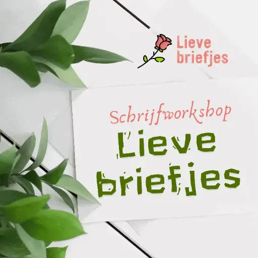 Workshop Lieve briefjes 21 november te Haaltert (avond)